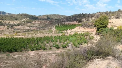 Rustic farm on Calle Partida Vall de Amet, No. Sn